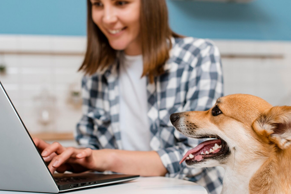 Онлайн платформа для частных инвесторов