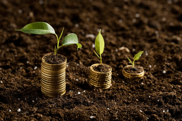 Депозит или прямые инвестиции — что выбрать?