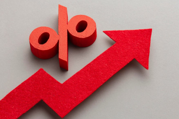 Сколько процентов можно заработать на краудлендинговой платформе?